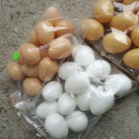 Изкуствени пластмасови яйца за кокошки, снимка 1 - За птици - 35279498