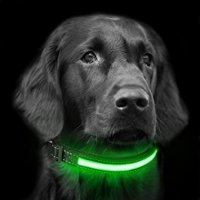 ПОДАРЪК при покупка над 200 лв./ USB Flash  LED ЛЕД Светещ нашийник за куче,акумулаторна каишка, снимка 2 - За кучета - 28693473