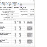 Твърд Диск Western Digital Blue WD2500AAJS 250GB, снимка 3 - Твърди дискове - 44063781