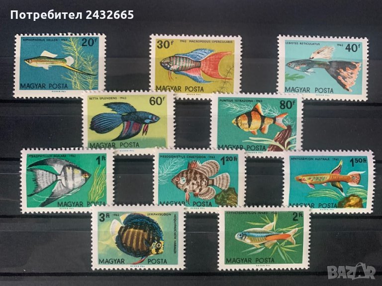 593. Унгария 1962 ~ “ Фауна. Тропически и аквариумни риби ” ,**,MNH, снимка 1