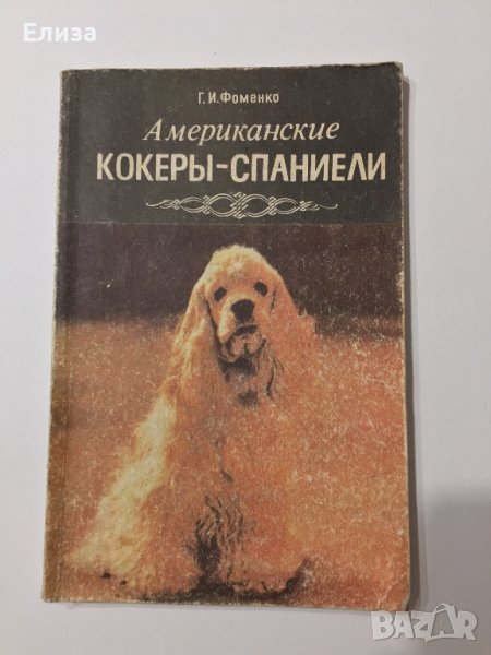 Американские кокеры-спаниели, снимка 1