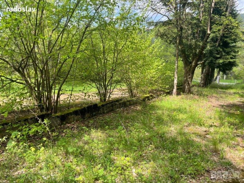 Поземлен имот: гр. Копривщица, Площ 5551 кв.м, снимка 1