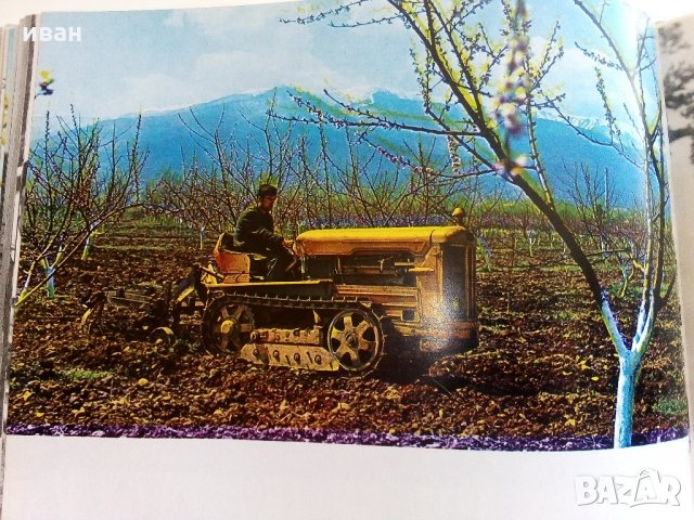 От Ком до Дунав - С.Гергов,З.Димитров,Й.Тодоров , снимка 10 - Енциклопедии, справочници - 33542250