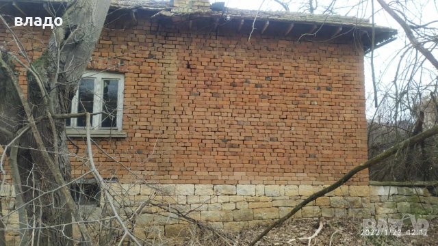 Осиково дворно място с къща, снимка 3 - Къщи - 35534250