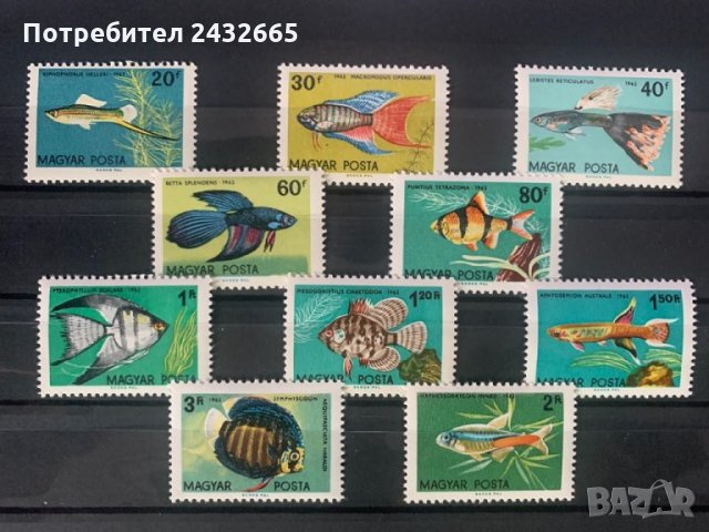 593. Унгария 1962 ~ “ Фауна. Тропически и аквариумни риби ” ,**,MNH, снимка 1 - Филателия - 33292576