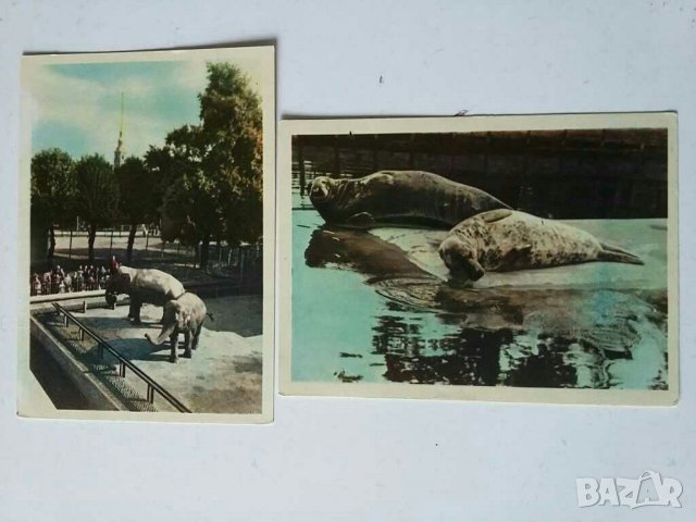 Албуми с картички от СССР Ленинград, снимка 8 - Колекции - 28969987
