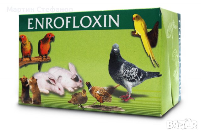 Енрофлоксин 15 мг. - таблетки за малки домашни любимци, снимка 2 - За птици - 39365019