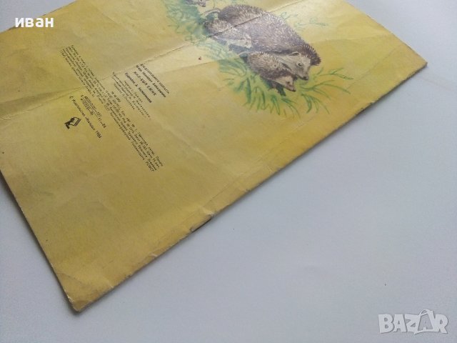 Жил-был ёжик - И.Акимушкин - 1986г., снимка 5 - Детски книжки - 43090745