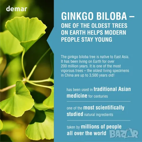 Endotelio Brain 1-MNA, Анти-ейджинг, снимка 2 - Хранителни добавки - 49813079