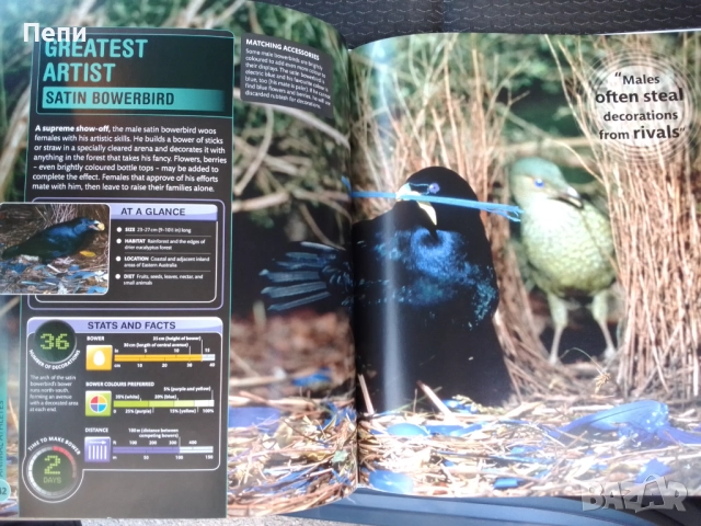 Супер Животните.Твърда корица, снимка 6 - Енциклопедии, справочници - 51723449