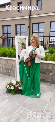 Певица, свиреща на цигулка, мандолина, пиано, ксилофон за вашето коледно парти , снимка 6 - Други - 52268565