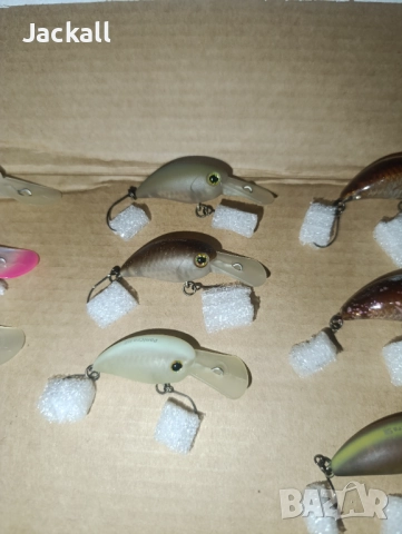 Воблер PaniCra DR/MR/SR/HF кефал, пъстърва trout Area, спининг , снимка 3 - Стръв и захранки - 52902908