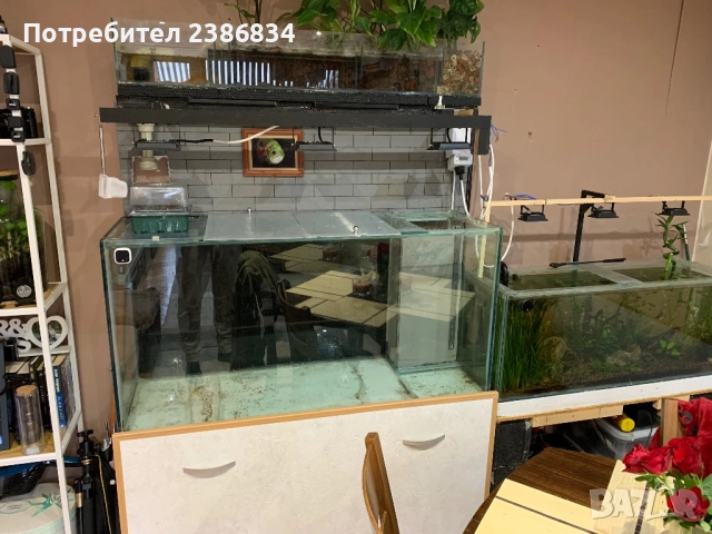 Продавам Аквариум