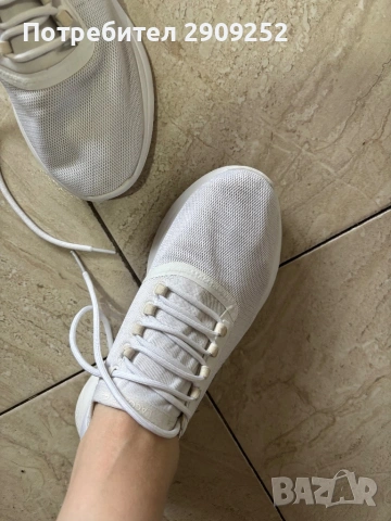 Маратонки lacosta, снимка 2 - Маратонки - 53051719