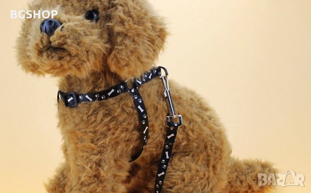 Нагръдник и повод за куче или котка 2 в 1 - Черен