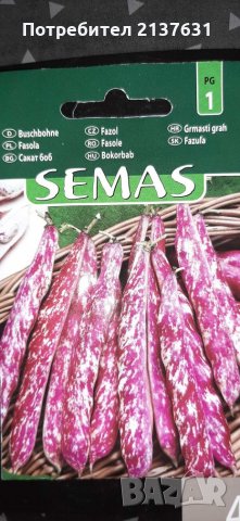 КАЧЕСТВЕНИ СЕМЕНА ЗА ПОСЕВ ЦЕНА 0 ,80лв , снимка 1