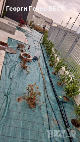 Озленяване:Проектиране и изграждане, снимка 9 - Други - 53164749