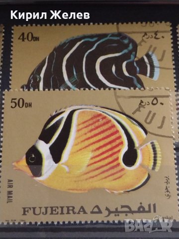 Пощенски марки две серии ЕКВАТОРИАЛНИ РИБИ ПЕРФЕКТНИ за КОЛЕКЦИЯ 37885 , снимка 6 - Филателия - 40476455