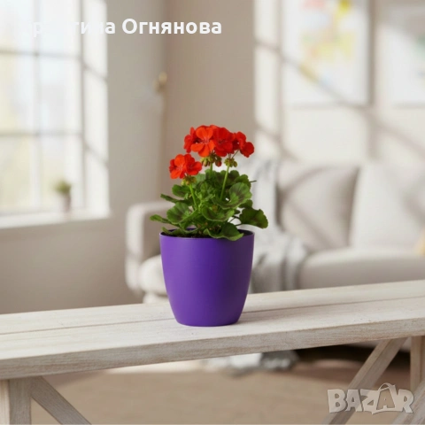 Саксия с поливна система Ø18×H16 см - за здрава коренова система, снимка 4 - Други стоки за дома - 53517146