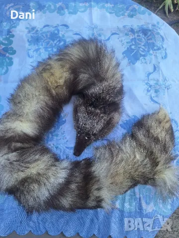 Антикварни вещи за ценители, снимка 10 - Антикварни и старинни предмети - 49344065