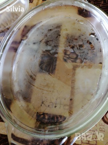 Съдове от йенско стъкло 70лв. за 3- те броя, снимка 3 - Сервизи - 36617896