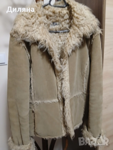 две якенцс С разм 