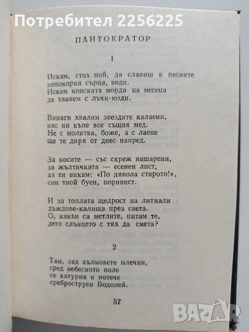 Сергей Есенин - Лирика, снимка 11 - Художествена литература - 52876071