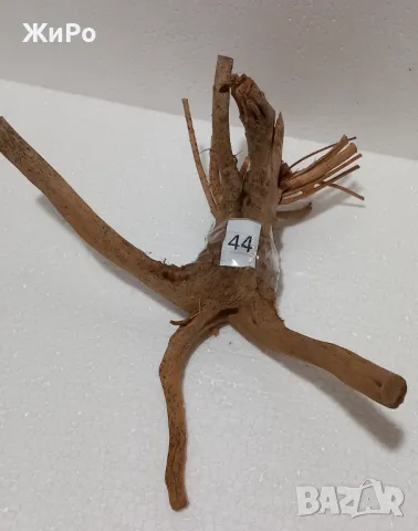 Корен от Азалия /декорация/ 44