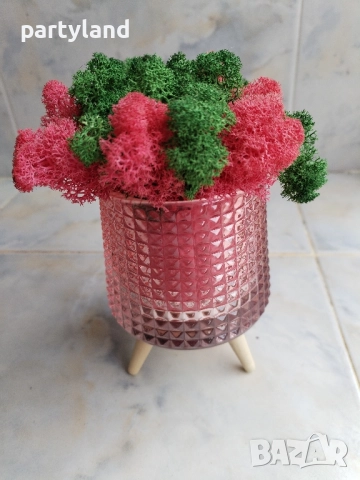 Скандинавски мъх декорация оригинален подарък