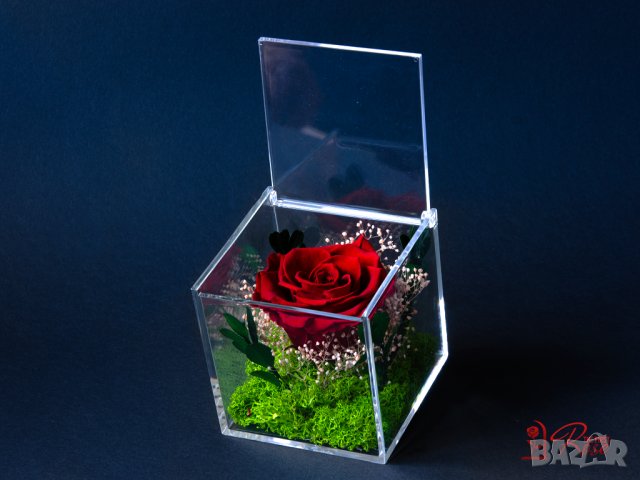Естествена Вечна Роза в Акрилна Кутия / Уникален Подарък за Рожден Ден / Жива Вечна Роза в Кутия, снимка 6 - Подаръци за жени - 43749115