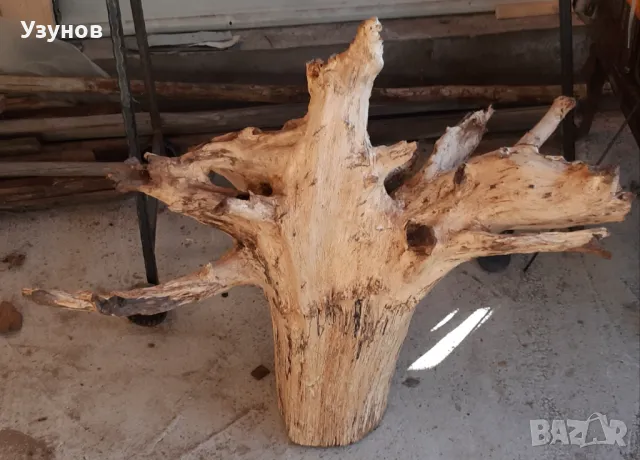 Декорация за градината -Корен от Дъб, снимка 6 - Декорация за дома - 48558312