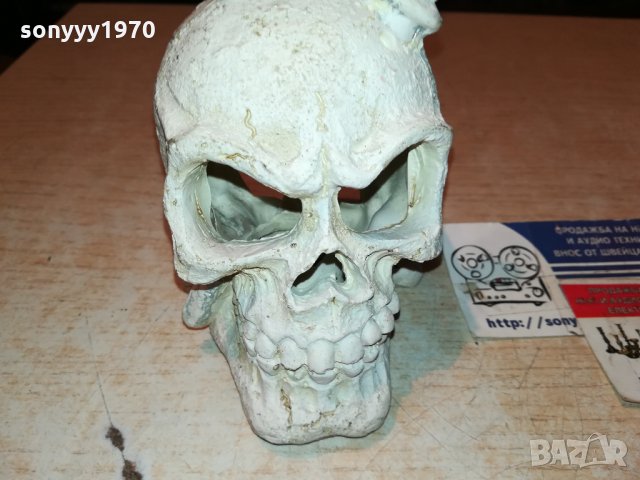 ЧЕРЕП-ВНОС France 🇫🇷 2712211936, снимка 2 - Антикварни и старинни предмети - 35253944