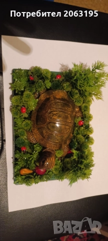 Декорация за дома 