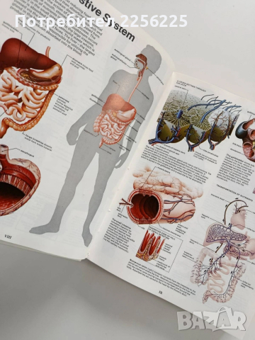 Семейна медицинска енциклопедия/Илюстровано ръководство, снимка 2 - Енциклопедии, справочници - 53402398