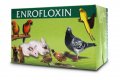 Енрофлоксин 15 мг. - таблетки за малки домашни любимци, снимка 2
