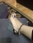 Златисти сандали, снимка 1 - Дамски обувки на ток - 33100847