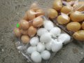 Изкуствени пластмасови яйца за кокошки, снимка 1 - За птици - 35279498