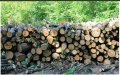 Продавам метрови дърва за огрев! , снимка 1 - Други услуги - 39689688