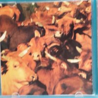 Midnight Oil (Alternative Rock)-3CD, снимка 8 - CD дискове - 43837856