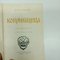 Копривщица - пътеводител , снимка 7 - Енциклопедии, справочници - 43489199
