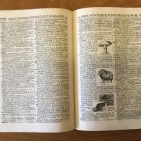 Funk & Wagnalls Standard Desk Dictionary 1936 г., снимка 6 - Чуждоезиково обучение, речници - 37032908