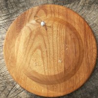 Дракула - рисувана дървена чиния за стена - пано, снимка 3 - Пана - 39454210