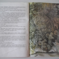 Книга "Елата - Ханс Кристиан Андерсен" - 12 стр., снимка 5 - Детски книжки - 36450529