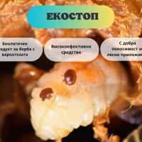 Екостоп Био блокчета с тимол и ментово масло за борба срещу вароатоза, снимка 5 - За пчели - 24930799