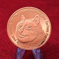 10 Dogecoins / 10 Догекойна Монета ( DOGE ), снимка 6 - Нумизматика и бонистика - 33241475