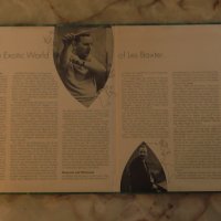 Грамофонна плоча-Les Baxter-двоен албум, снимка 2 - Грамофонни плочи - 38463679