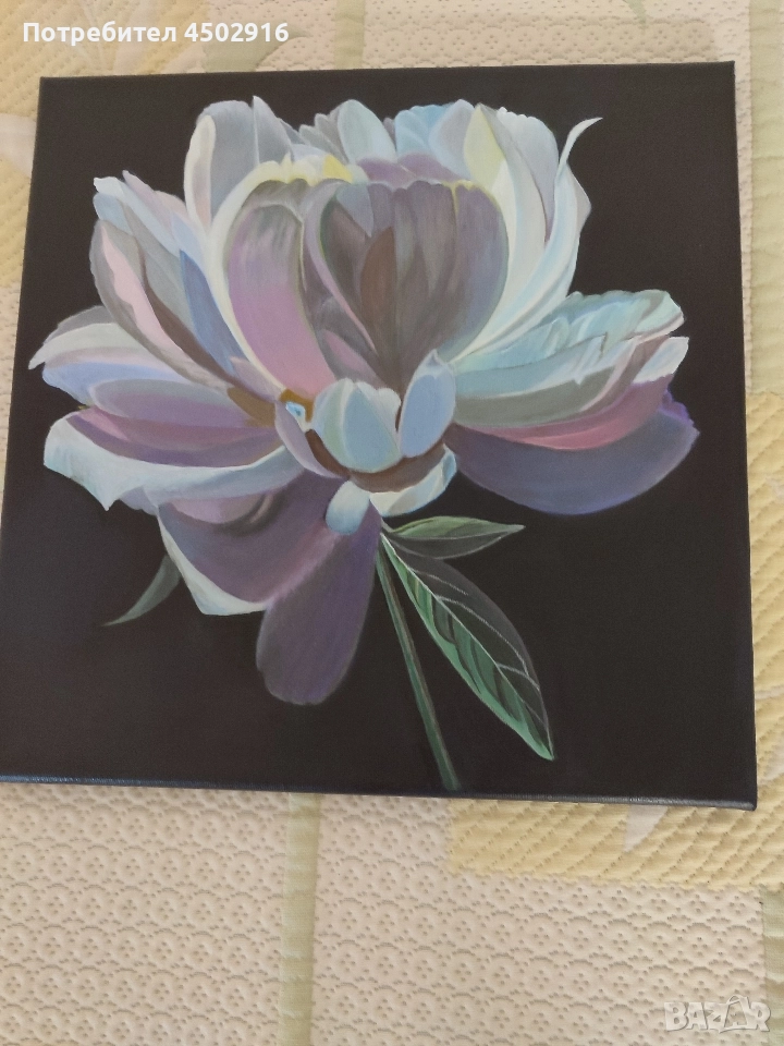 пион, снимка 1