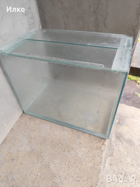 Аквариум , снимка 1