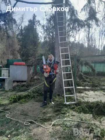 Рязане на опасни дървета,Кастрене,Косене,Почистване на дворове,парцели,места,градинки, снимка 3 - Кърти, чисти, извозва - 49707388