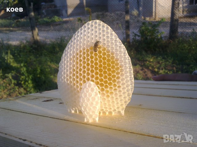 Пчелни майки, отводки и кошери по програмите 2024 ( - 10% ), снимка 10 - За пчели - 43931137